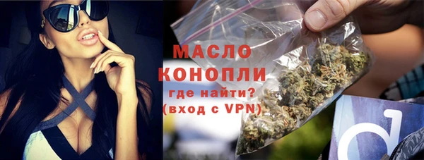 сатива Беломорск