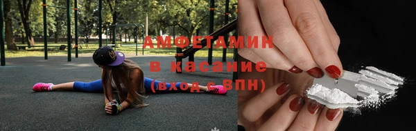 сатива Беломорск