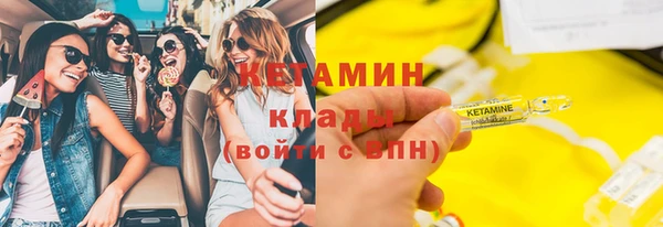 сатива Беломорск