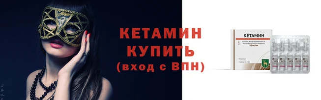 сатива Беломорск