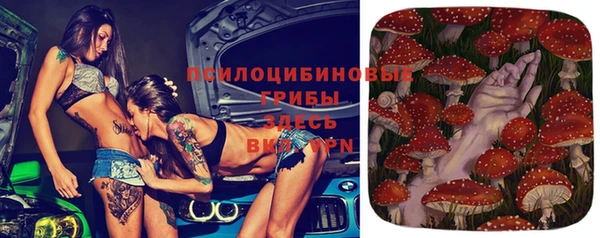 apvp Белоозёрский